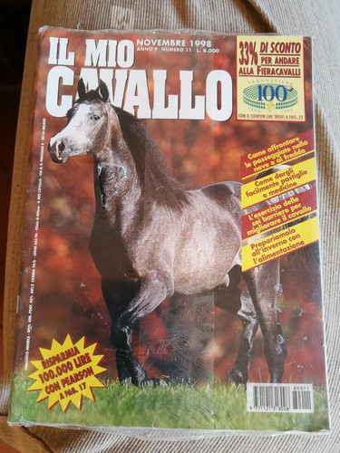 Mio cavallo rivista - il,