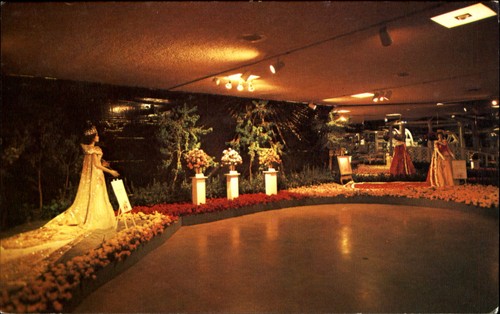Rose festival show - festival, ~