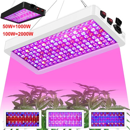 Luce led coltivazione pianta - luce,