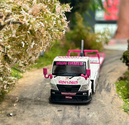 Cls ferro hino h300 - 1:64,