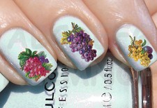 60x Water Decals GRAPPOLO UVA