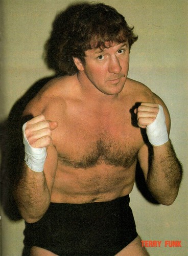 Wrestling legends terry - legends,
