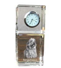 Cane da Pastore Bergamasco