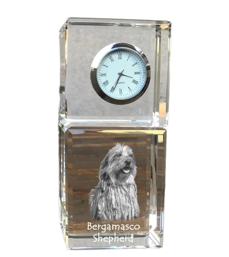 Cane pastore bergamasco - cane,