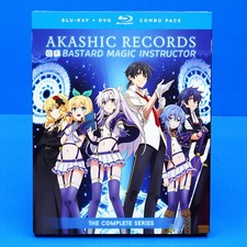 Akashic Record of Bastard