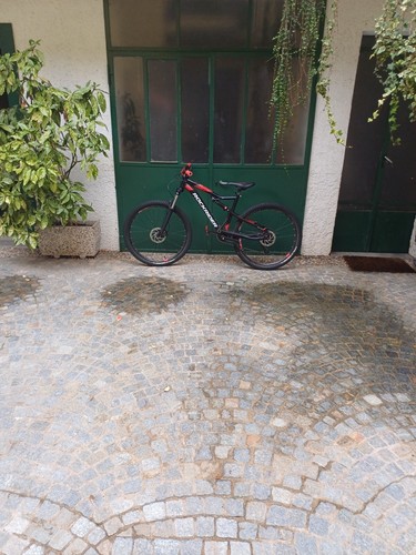 Bicicletta usata - bicicletta,