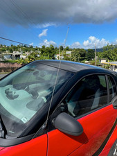 31" inch Stainless Steel