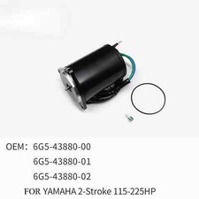 Motore Fuoribordo Sollevamento