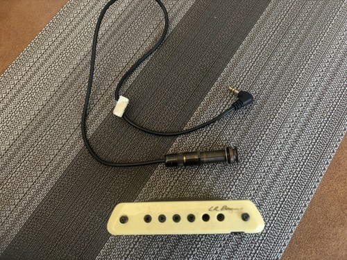 Baggs pickup attivo per - lr, m1