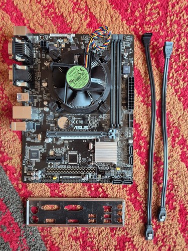 Scheda madre asus - scheda,