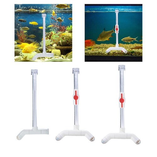 Acquario acqua pianta - acquario,