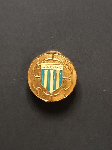 Pins pin badge - pin, racing