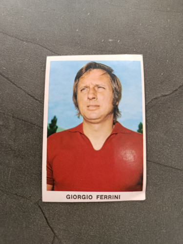 1973 edis calciatori - 1973-74,