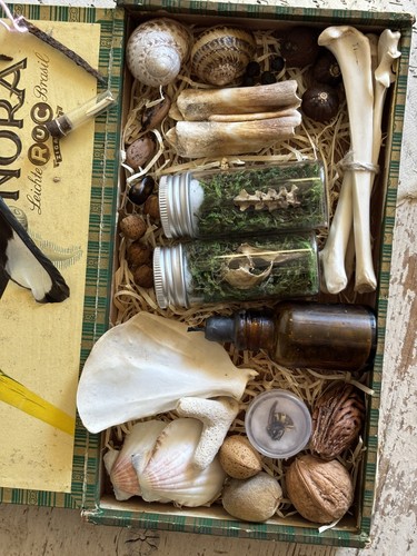 Scatola sigari vintage con - scatola,