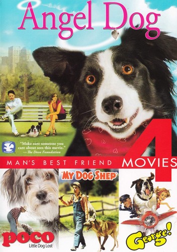 Angel dog shep - dog, /