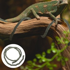  Serbatoio per rettili Decorazione per piante finte Terrario Paesaggio Rattan