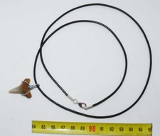 Collana Pendente Dente Di