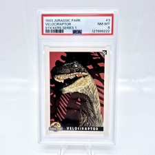 Jurassic Park Velociraptor #3