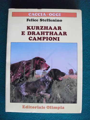 Steffenino kurzhaar - steffenino,
