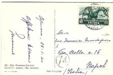 1940 A.O.I. ERITREA 25C ISOLATO SU CARTOLINA ARIMENTO DI ZEBU ALL'ABBEVERATA