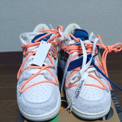 Off white nike dunk - x, low