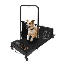 Tapis roulant dog - dog, pacer