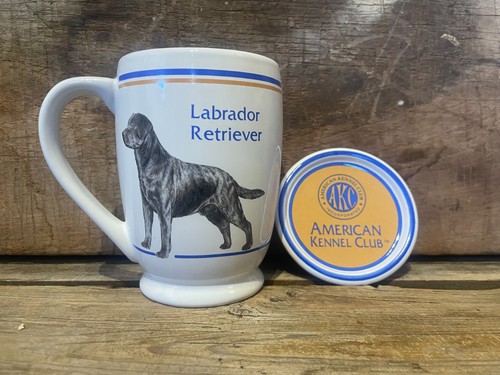 Tazza labrador retriever - tazza,