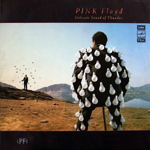Pink floyd delicate - ‎–,