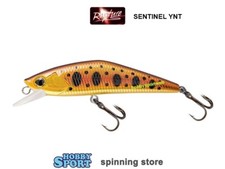 MINNOW  SENTINEL 70 RAPTURE