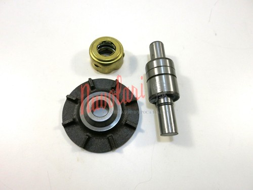 Kit revisione pompa acqua - revisione, fiat