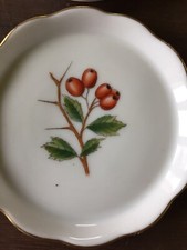 Porcellana Herend Sottobicchiere Piatto Piattino Dipinto A Mano Flora 