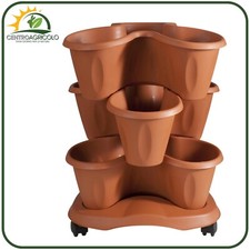 VASO SET TRIFOGLIO COCCIO Ø