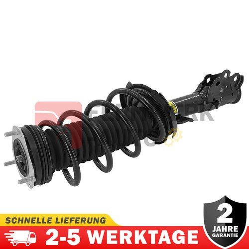 Ammortizzatore completo - ammortizzatore,