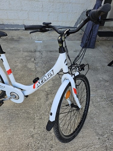 Bici bicicletta elettrica - bicicletta,