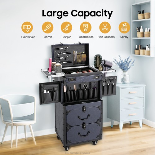 Professional makeup case - professional,