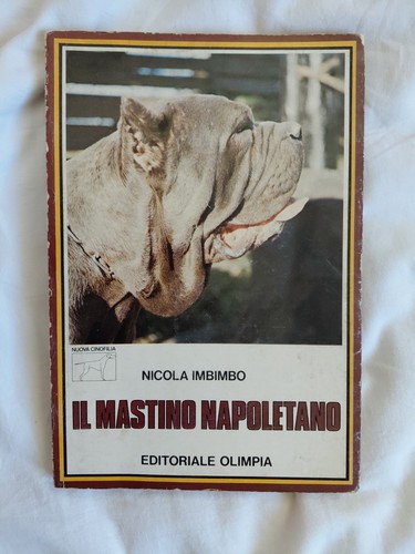 Mastino napoletano nicola - mastino,