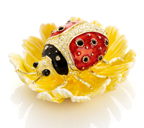 Coccinella keren kopal - keren, su