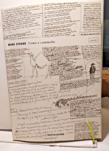 Uomo cammello mark - cammello, "mark