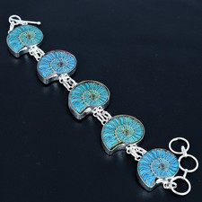 Caraibi Blu Oceano Ammoniti