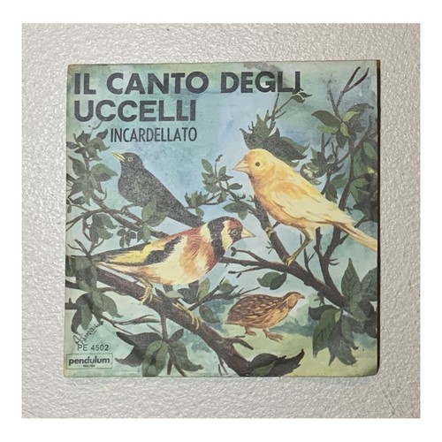 Canto degli uccelli - canto, vinile