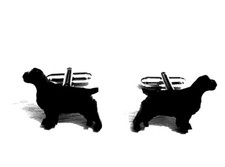 Springer Spaniel Gemelli Con