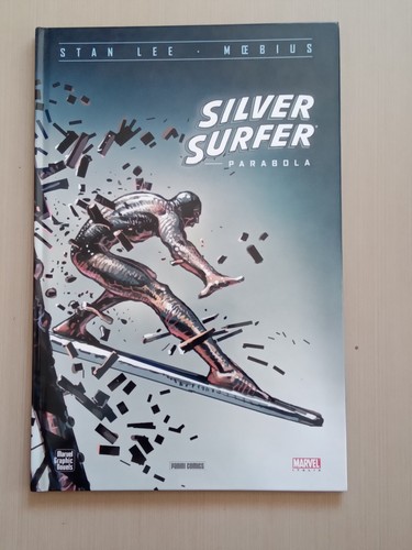 Silver surfer parabola stan - silver,