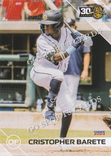 2024 charleston riverdogs - 2024,