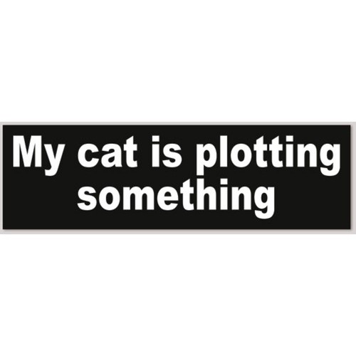 Adesivo paraurti cat is - paraurti, my