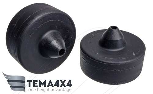 Tema4x4 rear coil - rear,