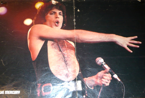Freddie mercury queen poster - mercury,