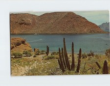 Cartolina Porto Nascosto