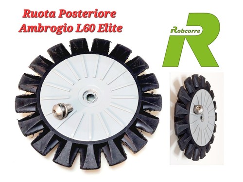 Ruota posteriore denti esterni - denti,