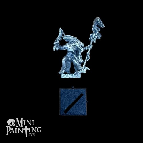 Lizardmen skink priest - lizardmen,