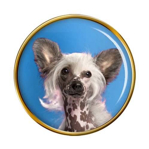 Cane crestato cinese - cane,